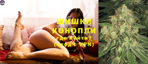 спиды Волосово
