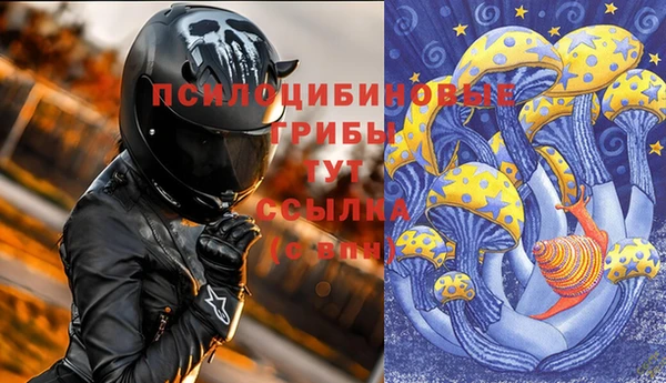 МДПВ Волоколамск