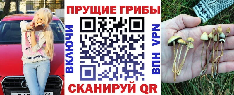 Псилоцибиновые грибы Cubensis  Высоковск 